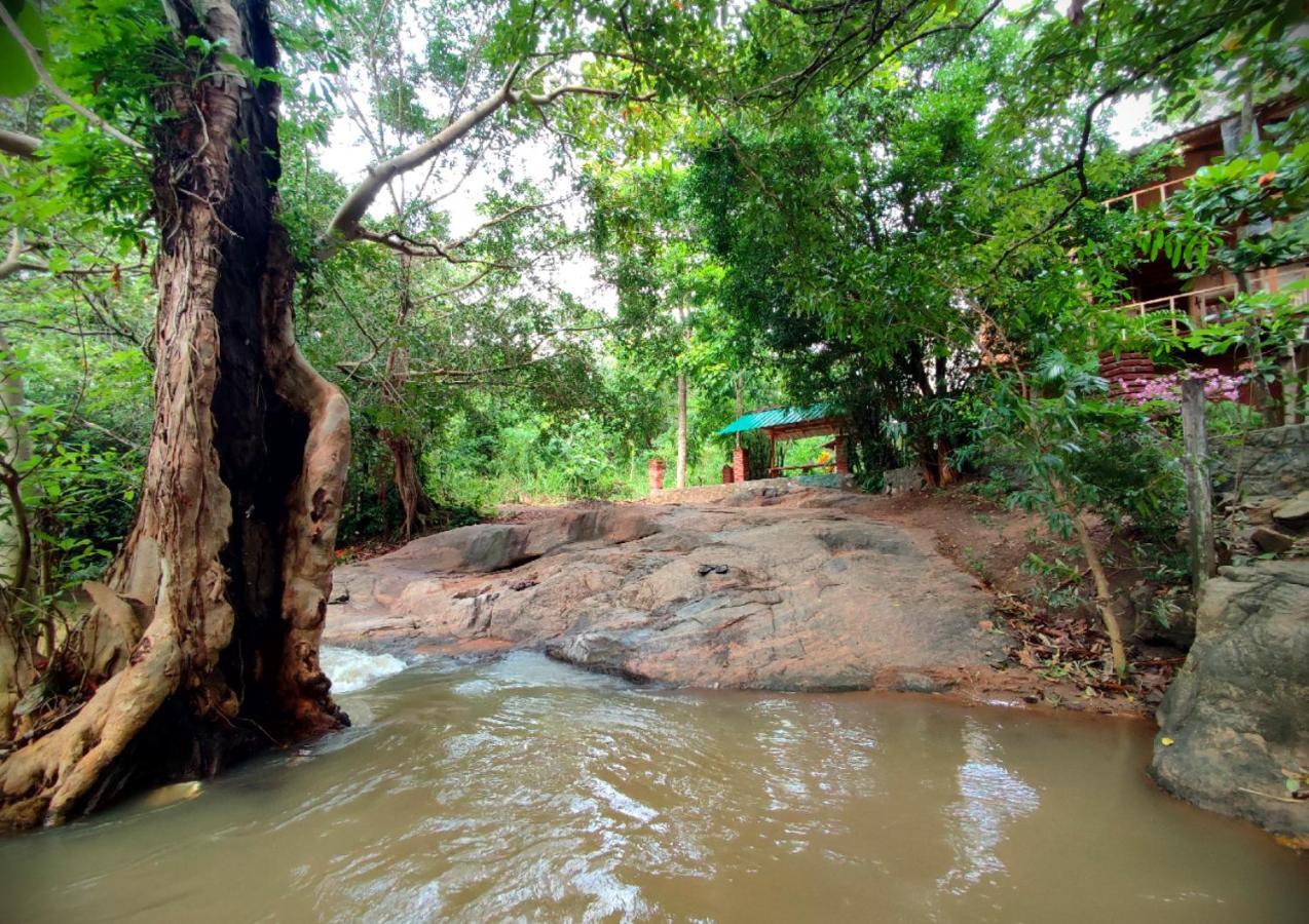 Sigiriya River Side Villa Exterior foto